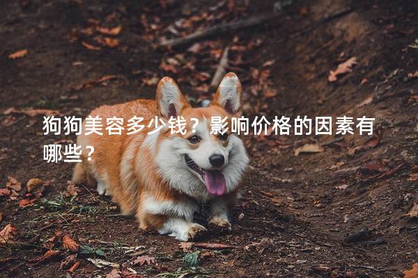 狗狗美容多少钱？影响价格的因素有哪些？