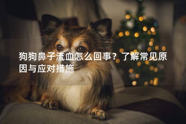 狗狗鼻子流血怎么回事？了解常见原因与应对措施
