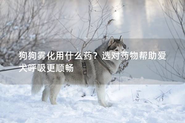 狗狗雾化用什么药？选对药物帮助爱犬呼吸更顺畅