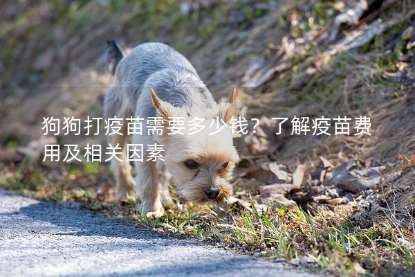 狗狗打疫苗需要多少钱？了解疫苗费用及相关因素