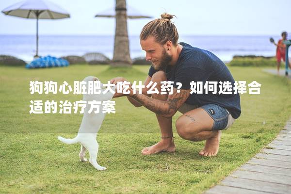狗狗心脏肥大吃什么药？如何选择合适的治疗方案