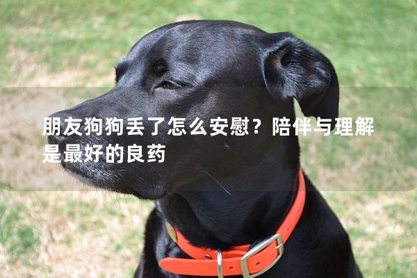朋友狗狗丢了怎么安慰？陪伴与理解是最好的良药