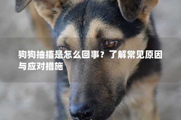 狗狗抽搐是怎么回事？了解常见原因与应对措施