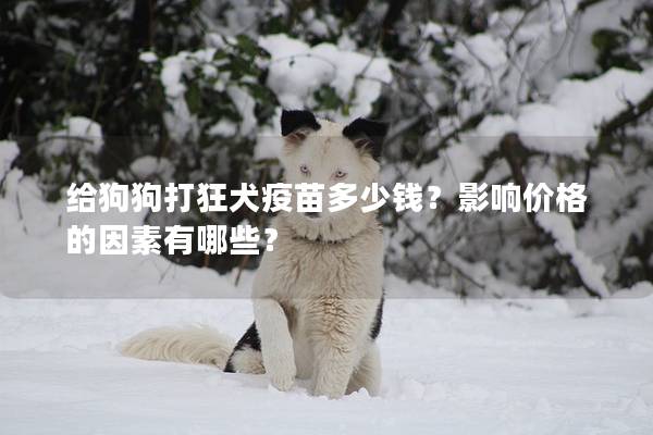 给狗狗打狂犬疫苗多少钱？影响价格的因素有哪些？