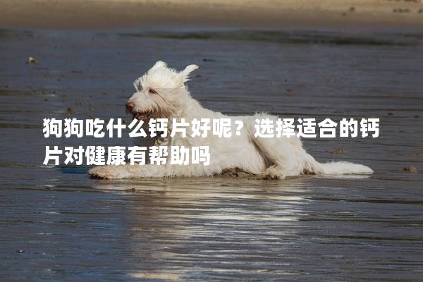 狗狗吃什么钙片好呢？选择适合的钙片对健康有帮助吗