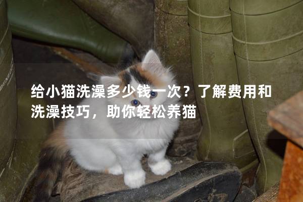 给小猫洗澡多少钱一次？了解费用和洗澡技巧，助你轻松养猫