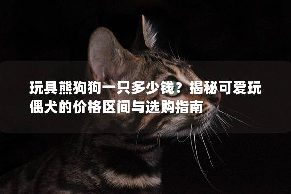 玩具熊狗狗一只多少钱？揭秘可爱玩偶犬的价格区间与选购指南