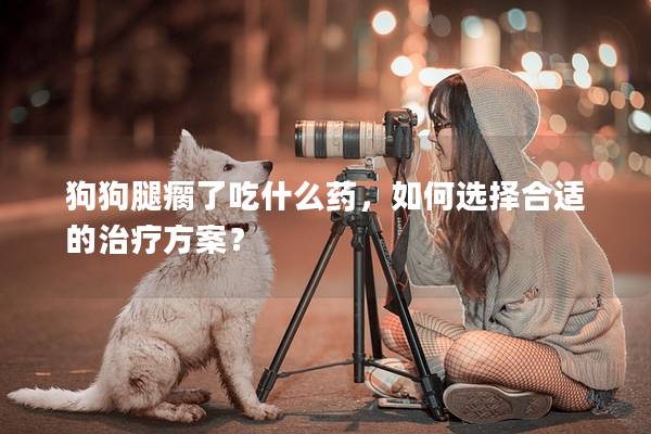 狗狗腿瘸了吃什么药，如何选择合适的治疗方案？
