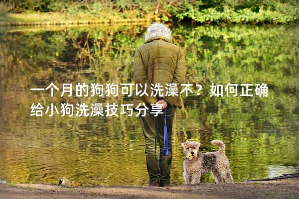 一个月的狗狗可以洗澡不？如何正确给小狗洗澡技巧分享