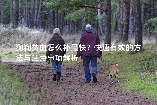 狗狗贫血怎么补最快？快速有效的方法与注意事项解析
