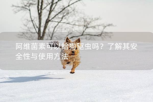 阿维菌素可以给狗驱虫吗？了解其安全性与使用方法