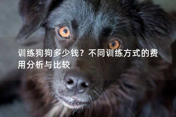 训练狗<a href=