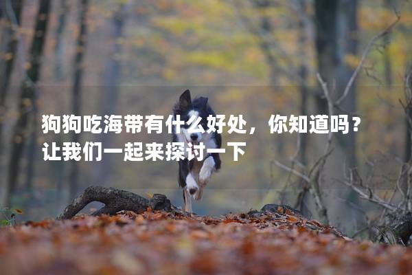 狗狗吃海带有什么好处，你知道吗？让我们一起来探讨一下