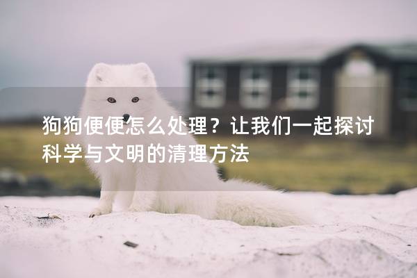 狗狗便便怎么处理？让我们一起探讨科学与文明的清理方法