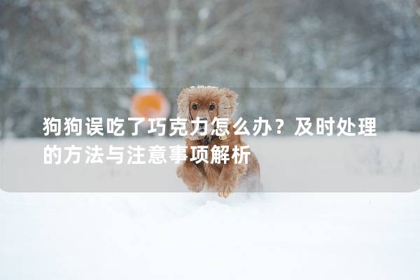 狗狗误吃了巧克力怎么办？及时处理的方法与注意事项解析