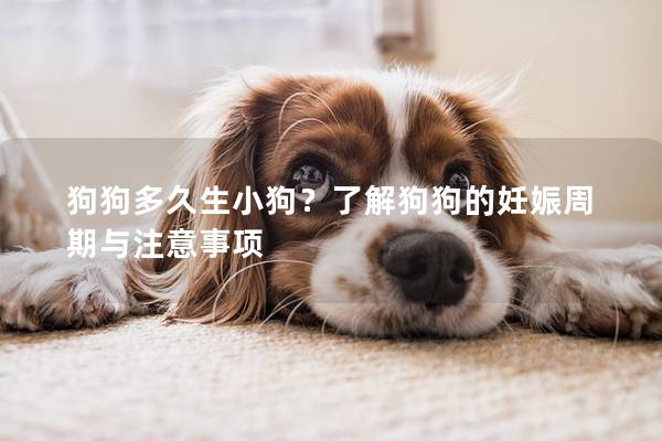 狗狗多久生小狗？了解狗狗的妊娠周期与注意事项