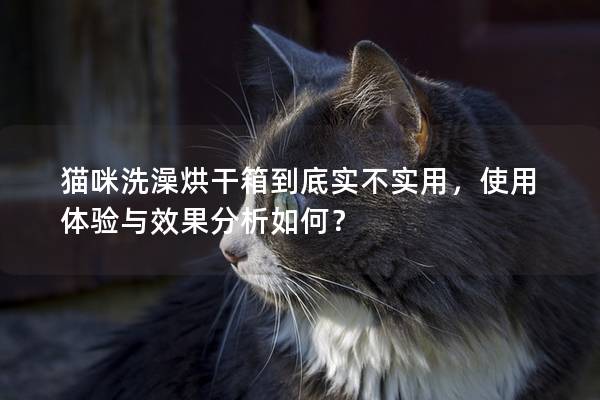 猫咪洗澡烘干箱到底实不实用，使用体验与效果分析如何？