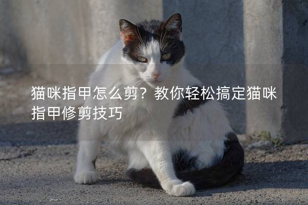 猫咪指甲怎么剪？教你轻松搞定猫咪指甲修剪技巧