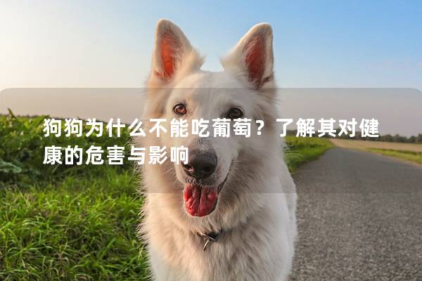 狗狗为什么不能吃葡萄？了解其对健康的危害与影响