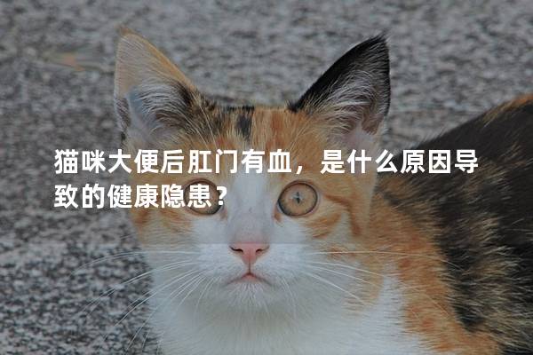 猫咪大便后肛门有血，是什么原因导致的健康隐患？