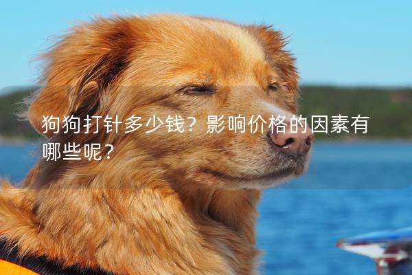 狗狗打针多少钱？影响价格的因素有哪些呢？