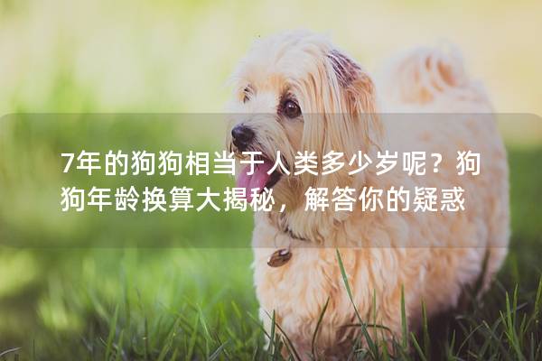 7年的狗狗相当于人类多少岁呢？狗狗年龄换算大揭秘，解答你的疑惑