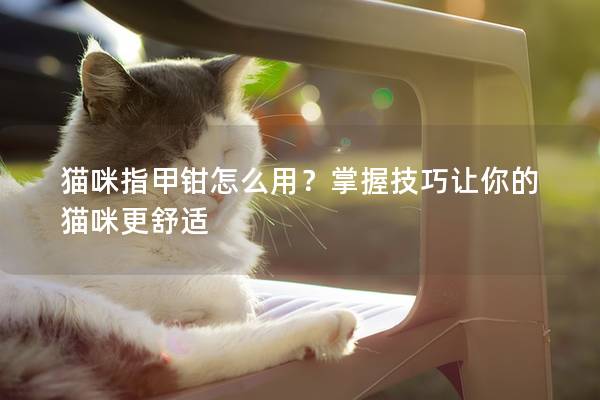 猫咪指甲钳怎么用？掌握技巧让你的猫咪更舒适