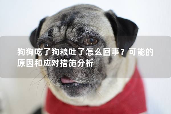 狗狗吃了狗粮吐了怎么回事？可能的原因和应对措施分析