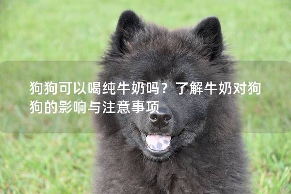 狗狗可以喝纯牛奶吗？了解牛奶对狗狗的影响与注意事项
