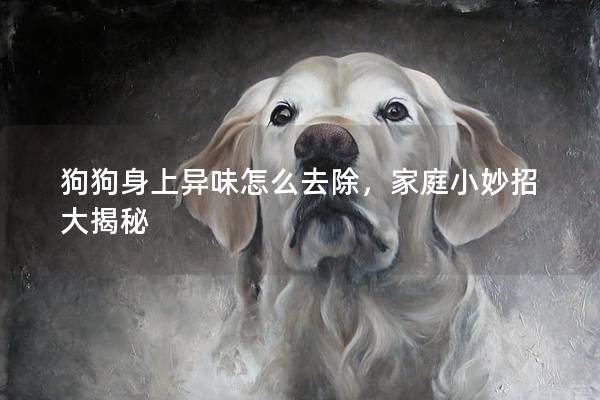 狗狗身上异味怎么去除，家庭小妙招大揭秘