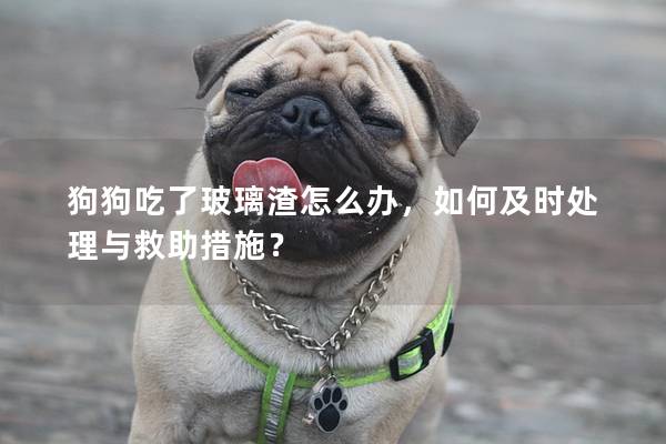 狗狗吃了玻璃渣怎么办，如何及时处理与救助措施？