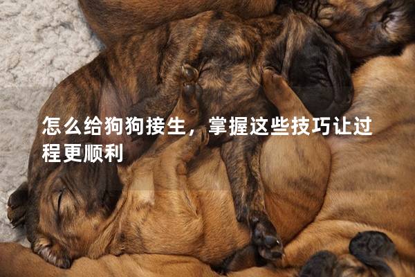 怎么给狗狗接生，掌握这些技巧让过程更顺利