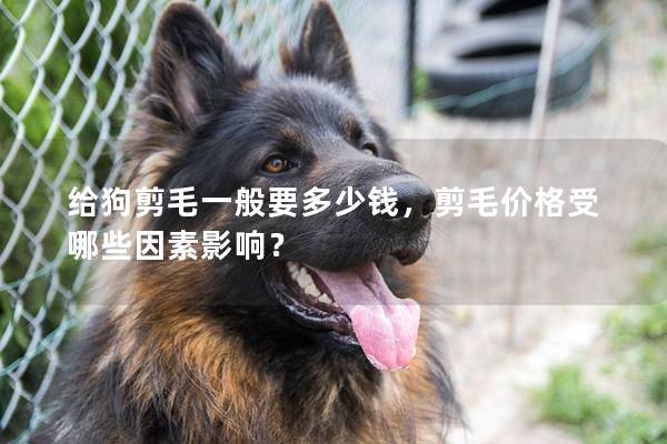 给狗剪毛一般要多少钱，剪毛价格受哪些因素影响？