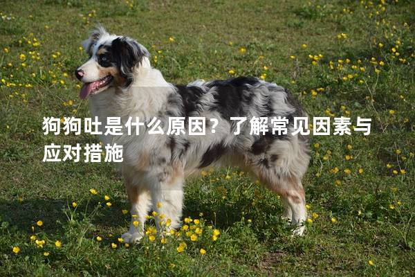 狗狗吐是什么原因？了解常见因素与应对措施