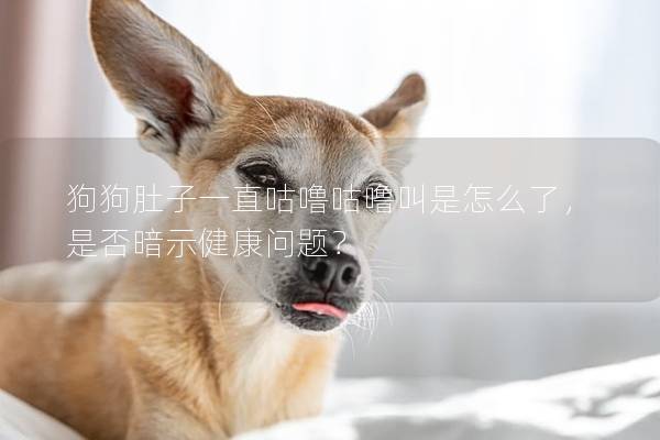 狗狗肚子一直咕噜咕噜叫是怎么了，是否暗示健康问题？