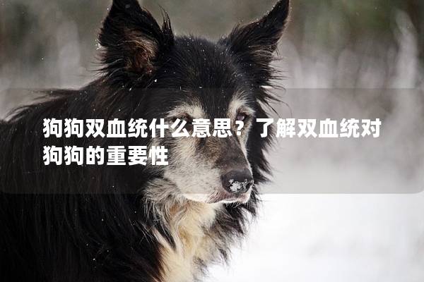狗狗双血统什么意思？了解双血统对狗狗的重要性