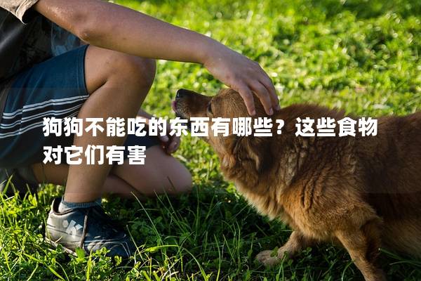 狗狗不能吃的东西有哪些？这些食物对它们有害