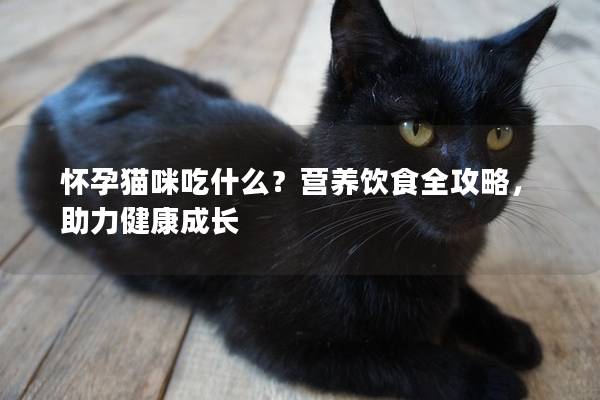 怀孕猫咪吃什么？营养饮食全攻略，助力健康成长