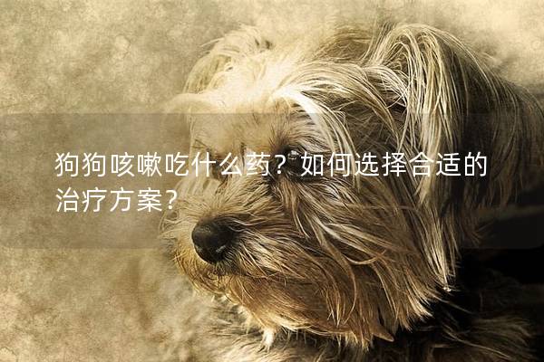 狗狗咳嗽吃什么药？如何选择合适的治疗方案？