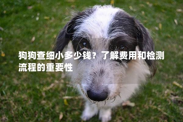 狗狗查细小多少钱？了解费用和检测流程的重要性