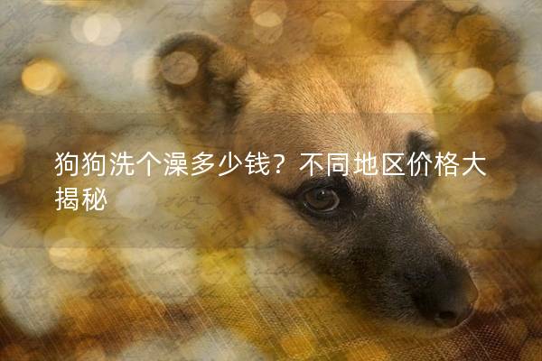 狗狗洗个澡多少钱？不同地区价格大揭秘