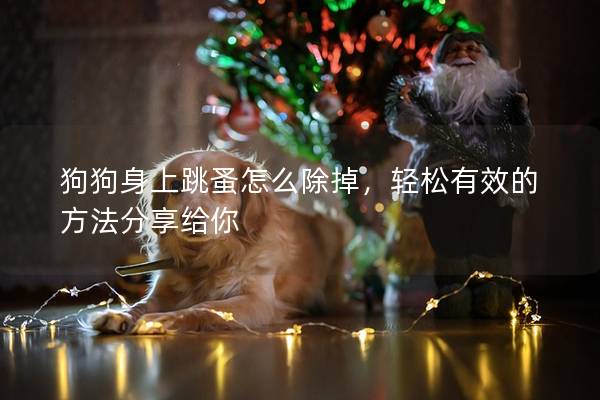 狗狗身上跳蚤怎么除掉，轻松有效的方法分享给你