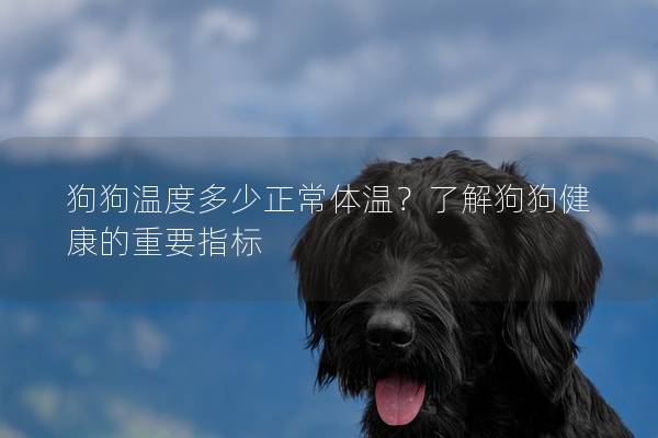 狗狗温度多少正常体温？了解狗狗健康的重要指标