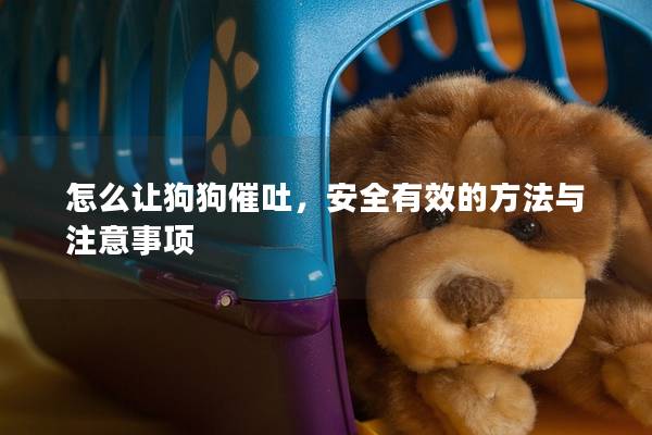 怎么让狗狗催吐，安全有效的方法与注意事项