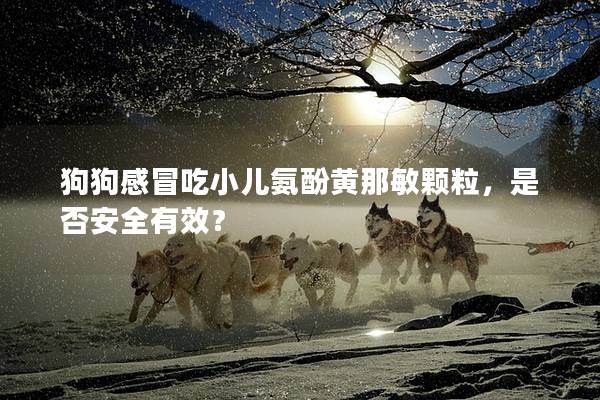 狗狗感冒吃小儿氨酚黄那敏颗粒，是否安全有效？