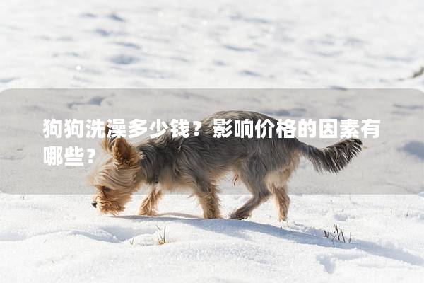 狗狗洗澡多少钱？影响价格的因素有哪些？