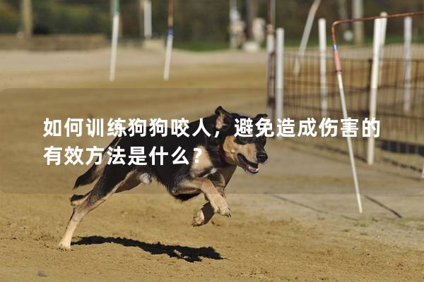 如何训练狗狗咬人，避免造成伤害的有效方法是什么？