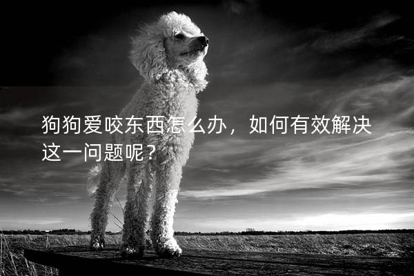 狗狗爱咬东西怎么办，如何有效解决这一问题呢？