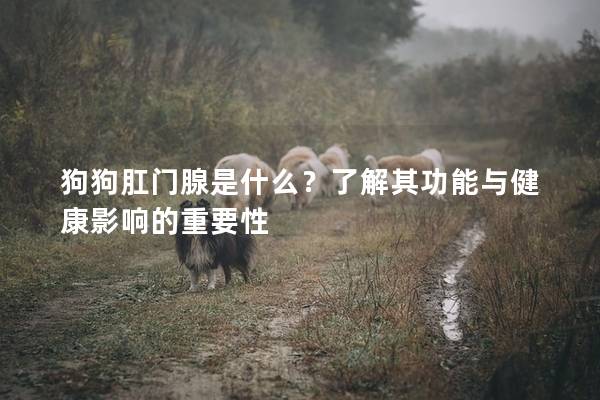 狗狗肛门腺是什么？了解其功能与健康影响的重要性