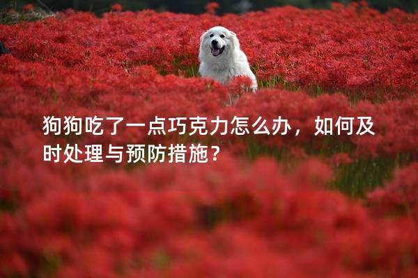 狗狗吃了一点巧克力怎么办，如何及时处理与预防措施？